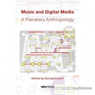 Music and Digital Media : A Planetary Anthropology