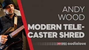 Truefire Andy Wood's Modern Telecaster Shred