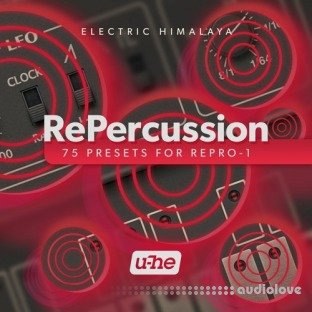 Electric Himalaya RePercussion