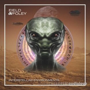 Field and Foley Interstellar Environments