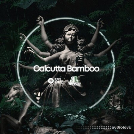 Black Octopus Sound Basement Freaks Presents Calcutta Bamboo WAV