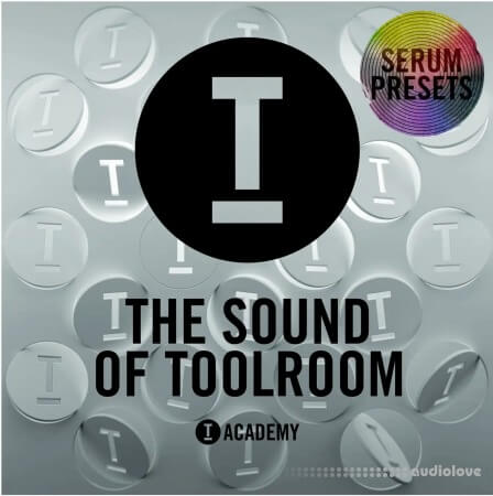 Toolroom The Sound Of Toolroom Serum Presets