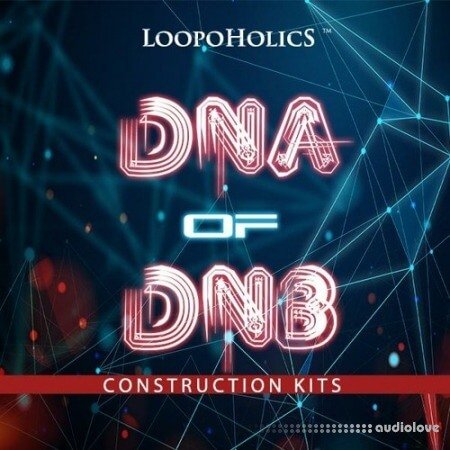 Loopoholics Dna of DnB Construction Kits