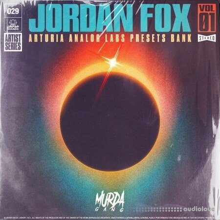 UNKWN Sounds Jordan Fox Vol.1 (Analog Lab Presets Bank) Synth Presets