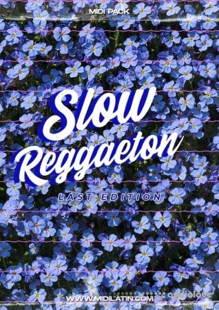 Midilatino Slow Reggaeton Vol.2
