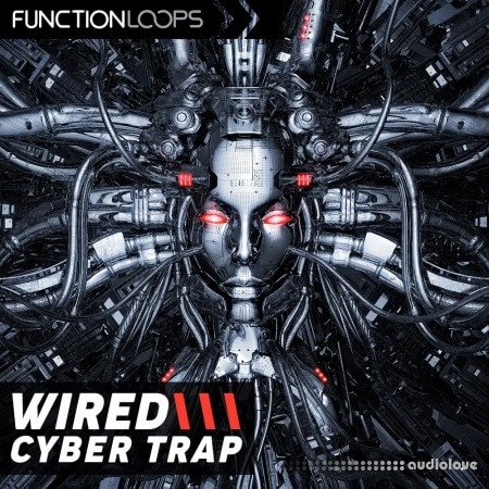 Function Loops Wired Cyber Trap