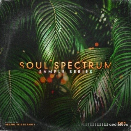 The Sample Lab Soul Spectrum Vol.1 (Compositions and Stems)