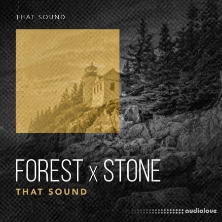 That Sound Forest X Stone