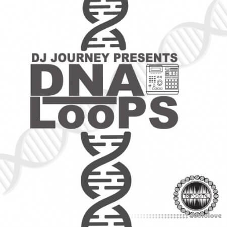 Trip Digital DNA Loops