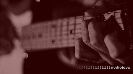 Udemy The 21 Steps Beginners Guitar Course