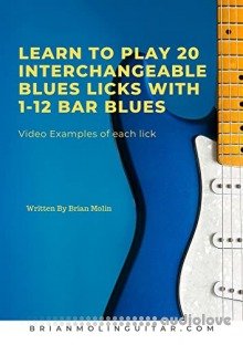 Learn To Play 20 Interchangeable Blues Licks With 1- 12 Bar Blues: Beginner to Intermediate Levels