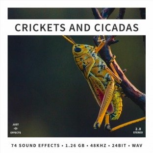 Just Sound Effects Crickets and Cicadas