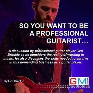 So You Want to Be a Professional Guitarist (Audiobook)