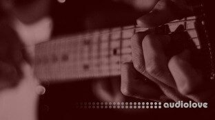 Udemy The 21 Steps Beginners Guitar Course