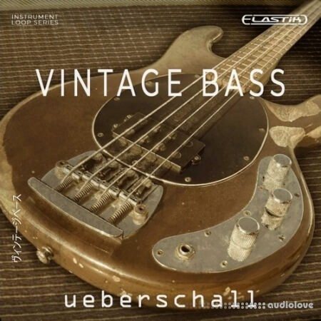 Ueberschall Vintage Bass Elastik