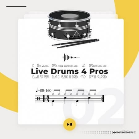 Diginoiz Live Drums 4 Pros 2
