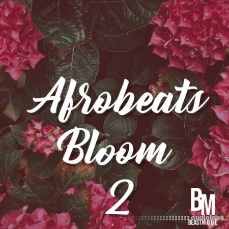 HOOKSHOW Afrobeats Bloom 2