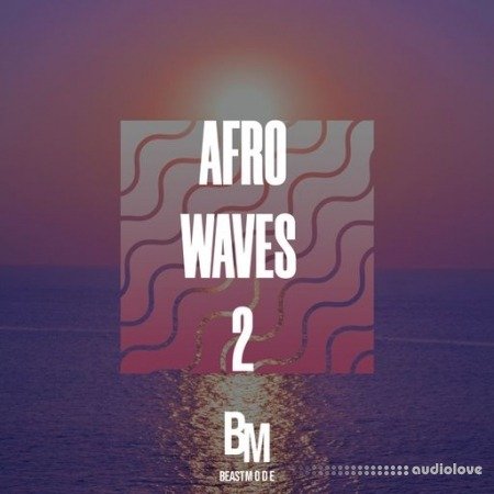 HOOKSHOW Afro Waves 2