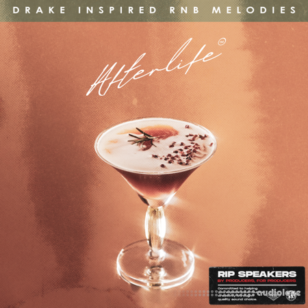 Rip Speakers Afterlife: Drake Inspired RnB Melodies