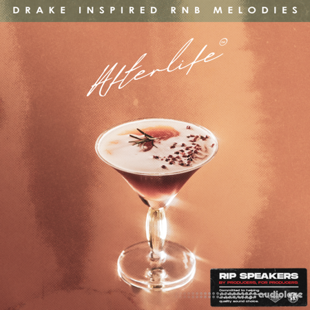 Rip Speakers Afterlife: Drake Inspired RnB Melodies WAV