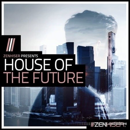 Zenhiser House Of The Future