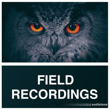 Whitenoise Records Field Recordings