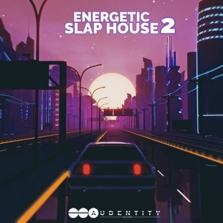 Audentity Records Energetic Slap House 2 WAV MiDi Synth Presets