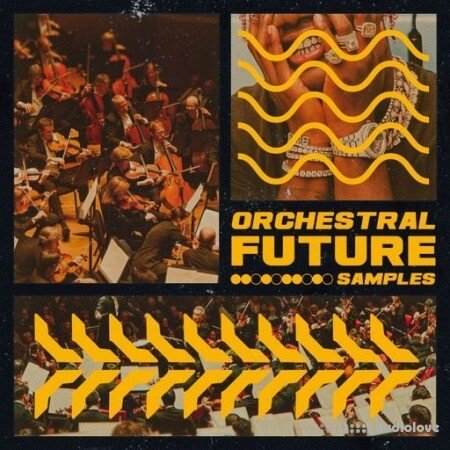 Double Bang Music Orchestral Future Samples