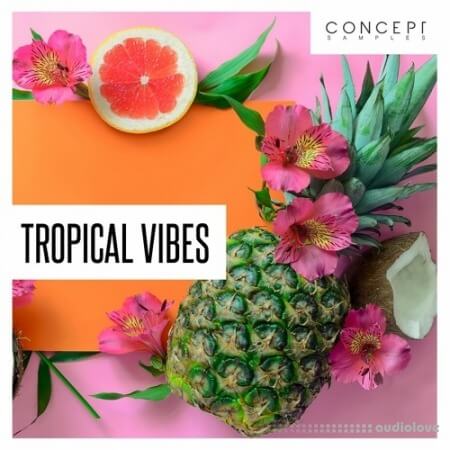 Concept Samples Tropical Vibes