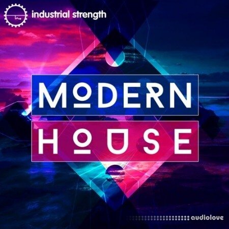 Industrial Strength Modern House