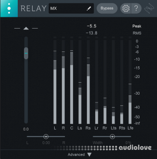 iZotope Relay