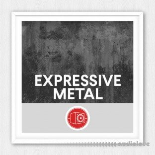 Big Room Sound Expressive Metal