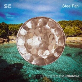 Sonic Collective Steel Pan