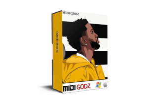 Midi Godz Big Sean Type MIDI Kit