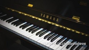 Udemy Piano 101: Beginner Friendly Piano Lessons without a Piano