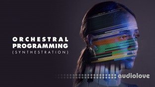 Cinematic Composition Orchestral Programming (Synthestration)