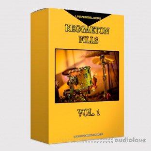 Universe Loops Reggaeton Fills Vol.1