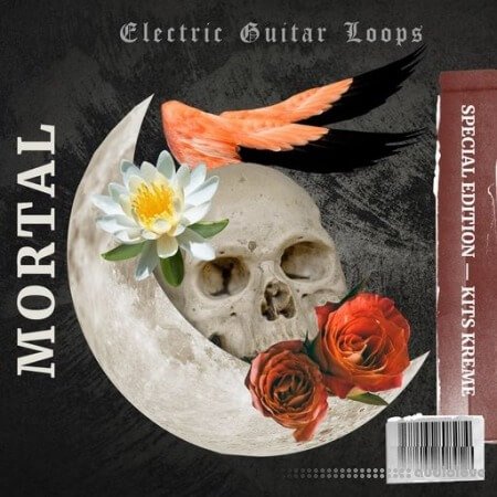 Kits Kreme Mortal Electric Guitar Loops