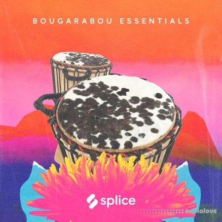Splice Sessions Bougarabou Essentials