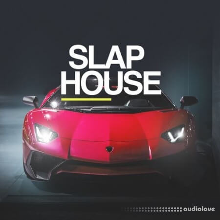 Whitenoise Records Slap House