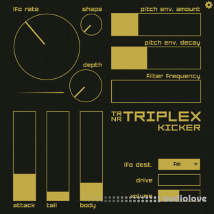 Ternär Music Technology Triplex Kicker