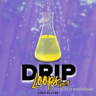 DiyMusicBiz Drip Loops Vol 9
