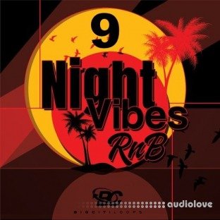 Big Citi Loops Night Vibes RnB 9