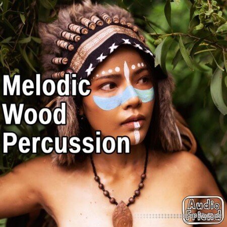 AudioFriend Melodic Wood Percussion