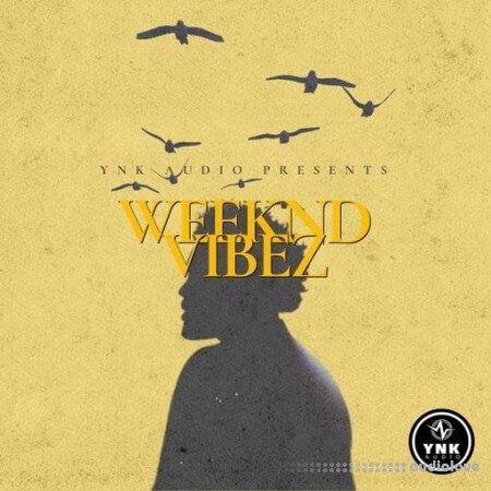 YnK Audio Weeknd Vibez: The Weeknd Type Loops