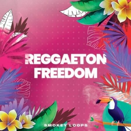 Smokey Loops Reggaeton Freedom
