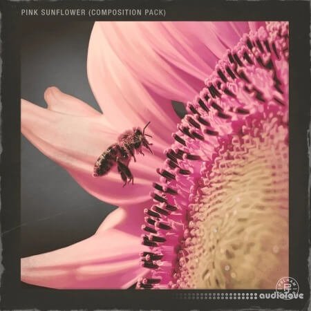 Pelham and Junior Pink Sunflower Vol.1 (Compositions and Stems) WAV