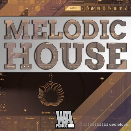 WA Production Melodic House Course