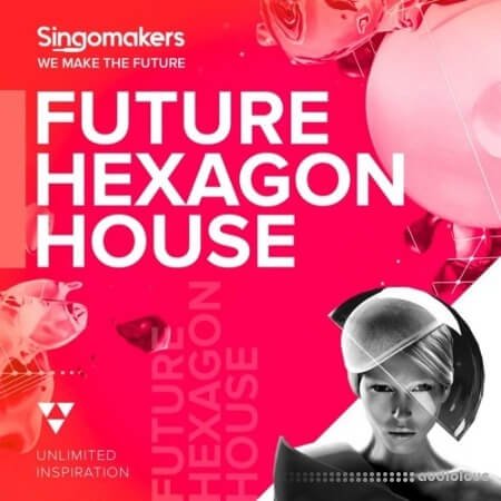 Singomakers Future Hexagon House