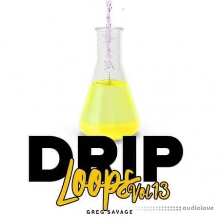 DiyMusicBiz Drip Loops Vol 13